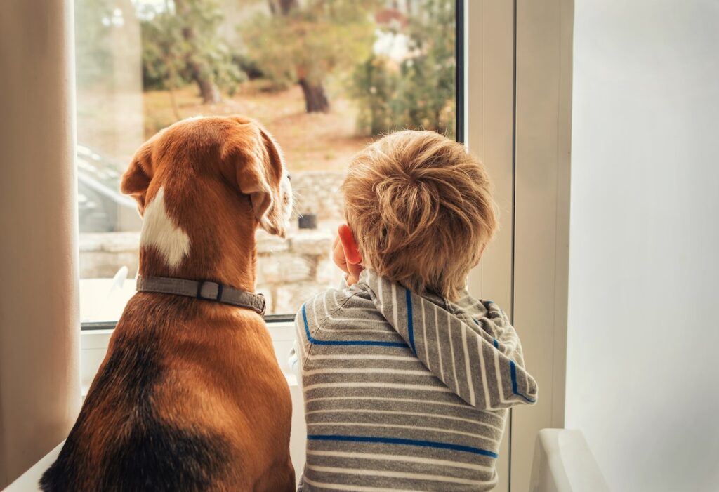 little boy with best friend looking through window